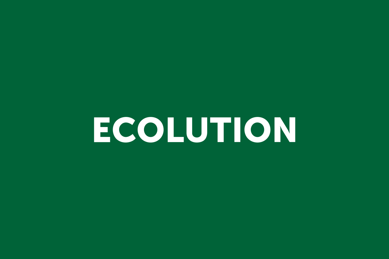 Ecolution-picture-27668