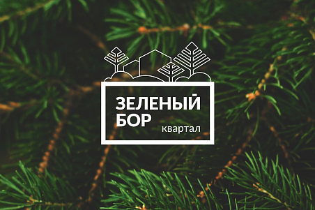 Зеленый бор-picture-23609