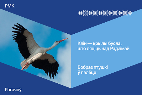 Рагачоўскі МКК. Лінейка прадуктаў-picture-56721