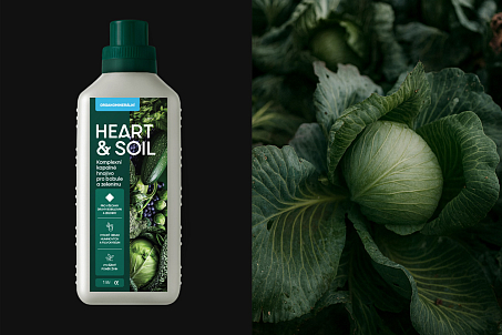 Heart&Soil-picture-56553