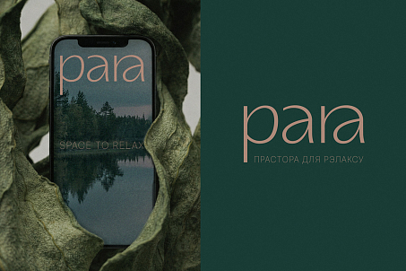Para-picture-57198