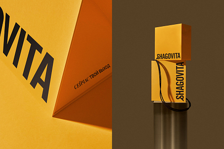 Shagovita-picture-57133