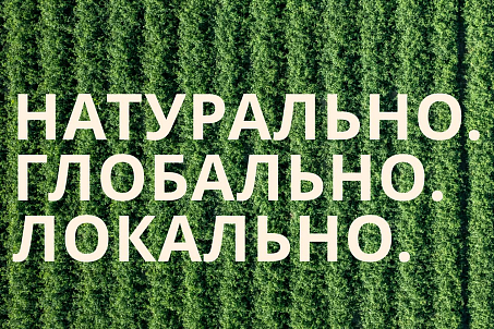 Tomama-picture-56807