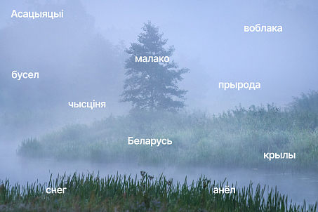 Рагачоўскі МКК. Лінейка прадуктаў-picture-56720